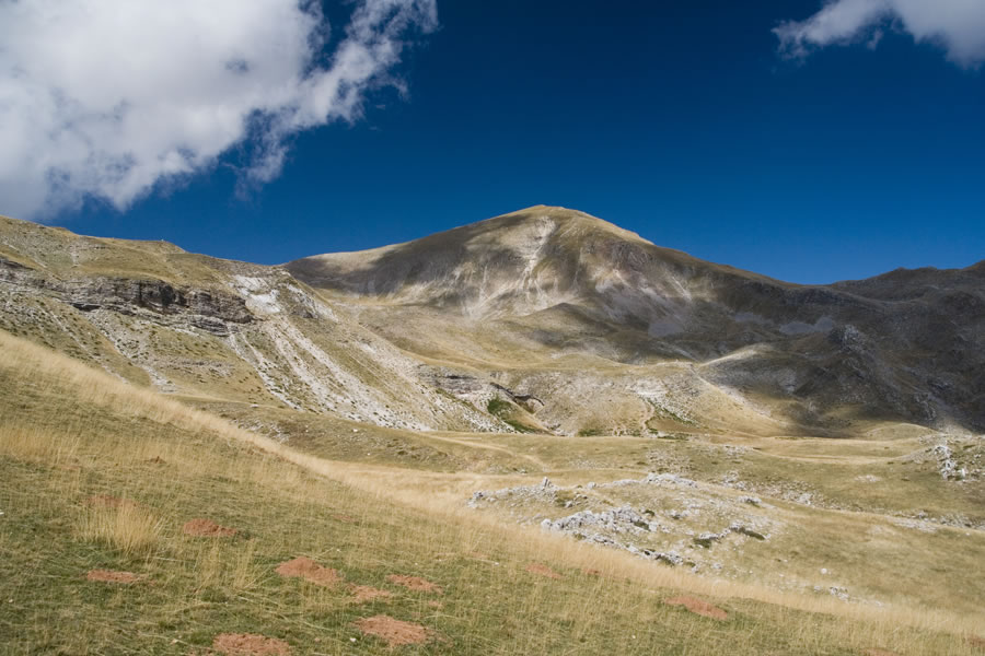 Proti Tsoukareli