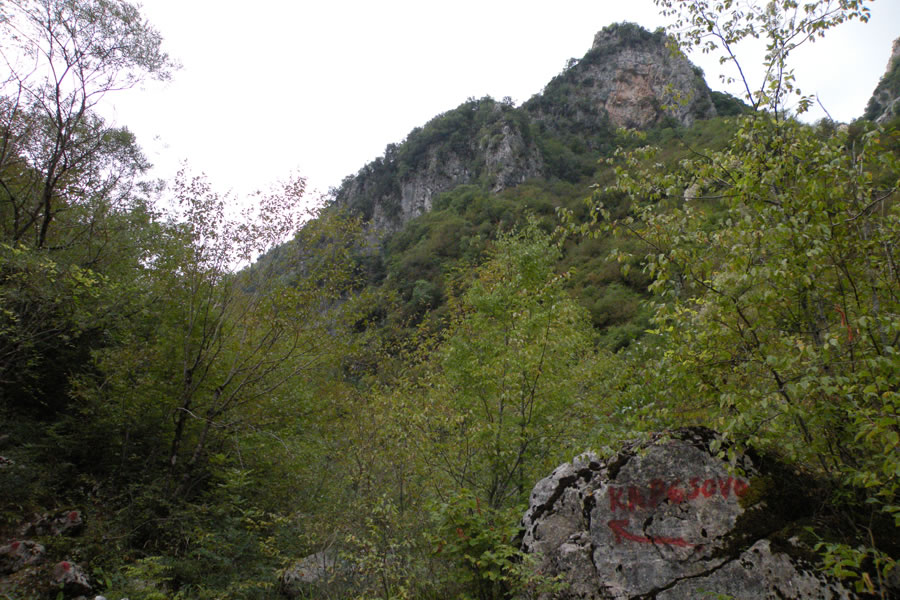 Soteska Vikos