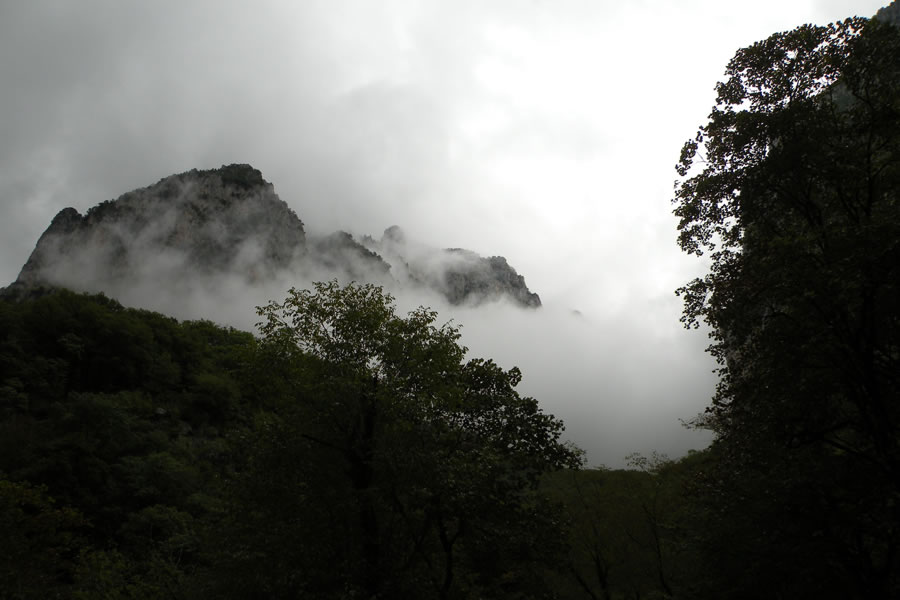Soteska Vikos