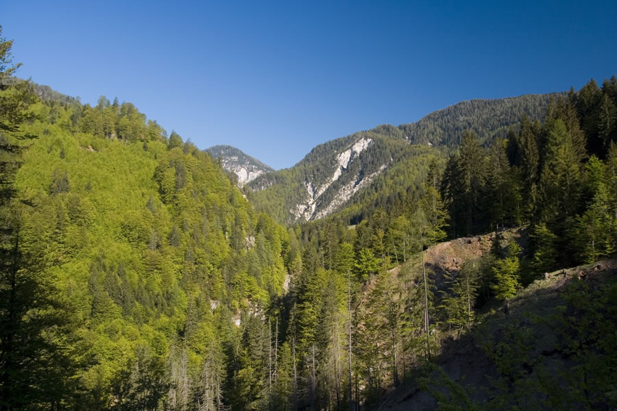Nad dolino Vallone di Malborghetto