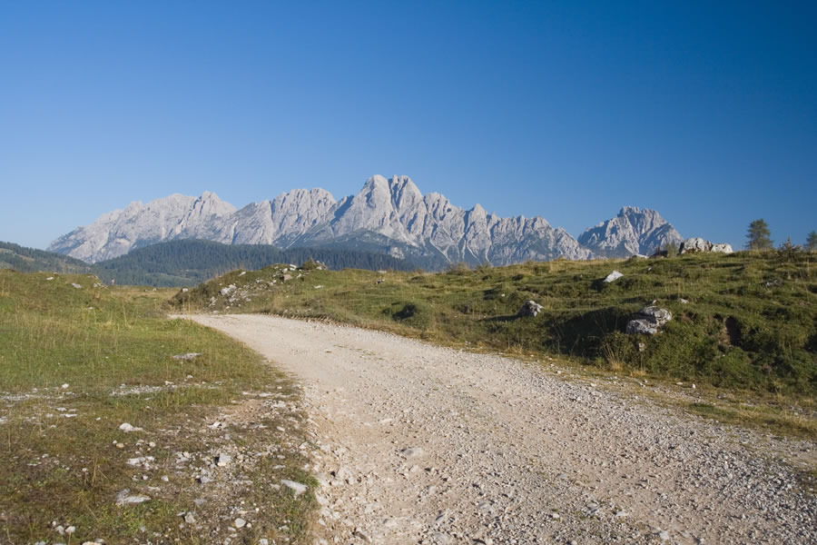 M. Brentoni