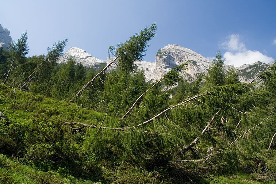 Nad Cadin de Senons