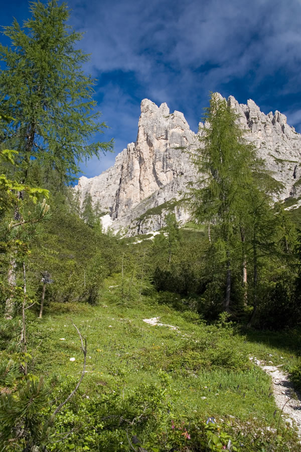 Proti Cridoli