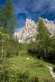 Proti Cridoli