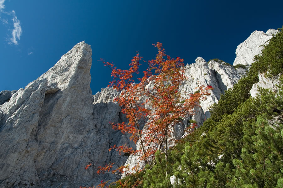 Na poti okoli Grauzarie