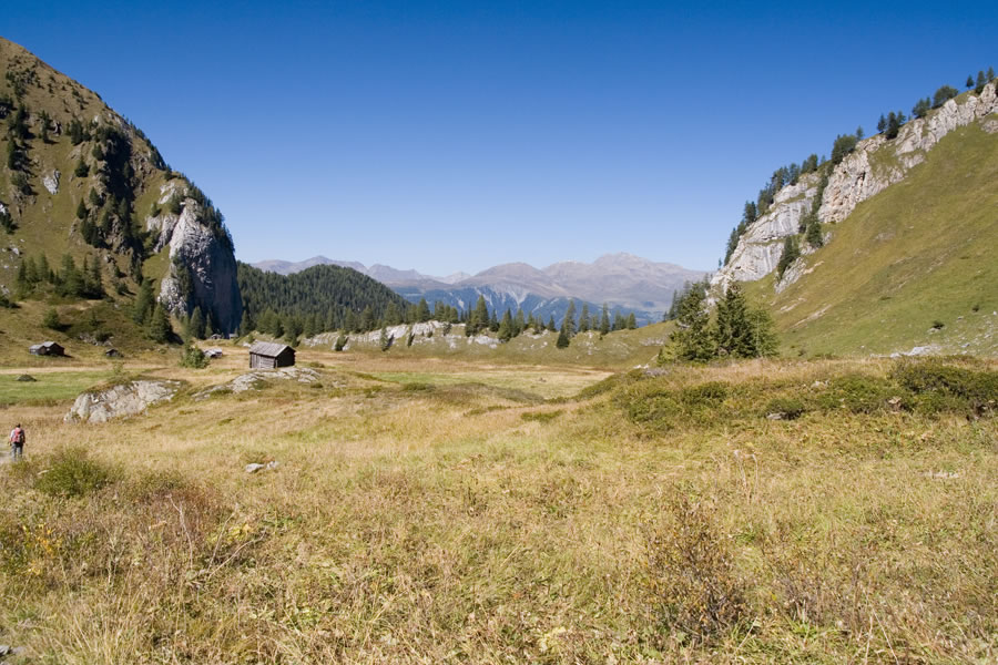 Obstanser Wiesenboden