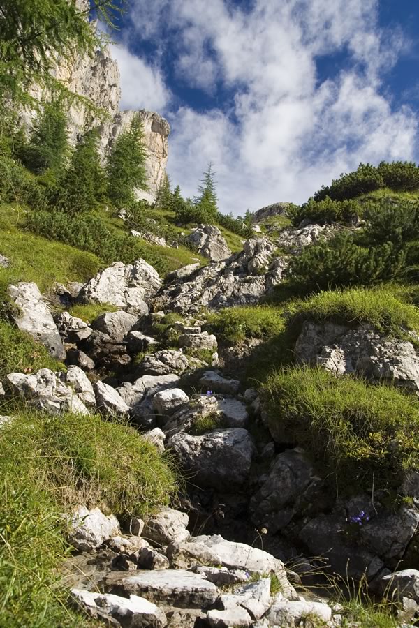 Potoček