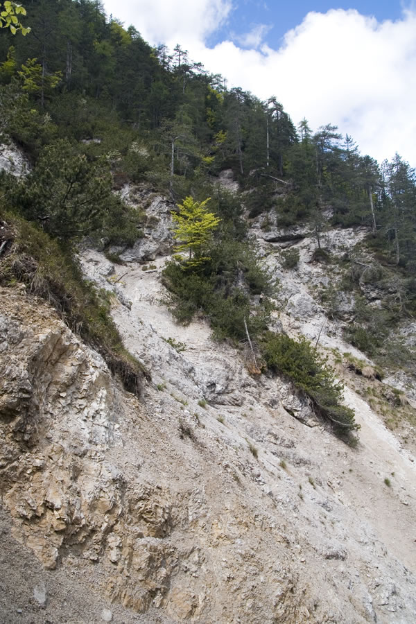 Prvič odplaknjena pot