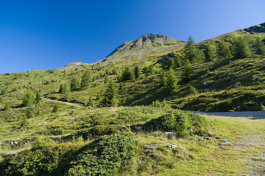 Col Quaterna