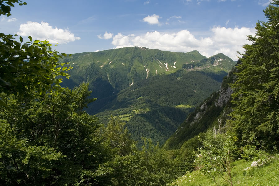 Cimone di Crasulina