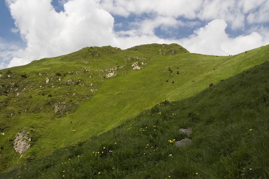 Proti Creta di Timau