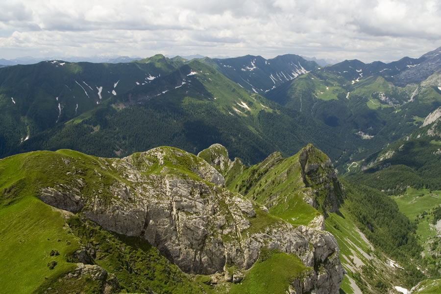 Cimone di Crasulina, M. Terzo, M. Crostis, M. Floriz, spredaj greben proti Gamspitz