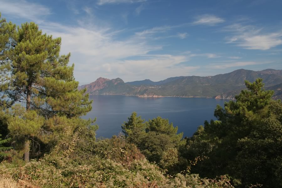 Monte Senino