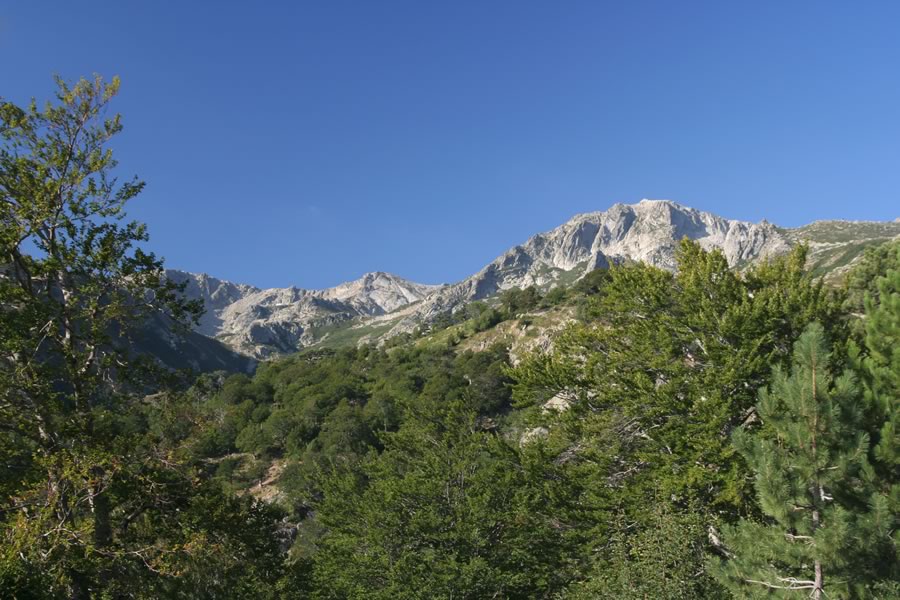 Monte Renoso