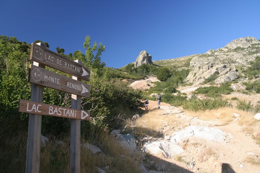 Proti Renosu