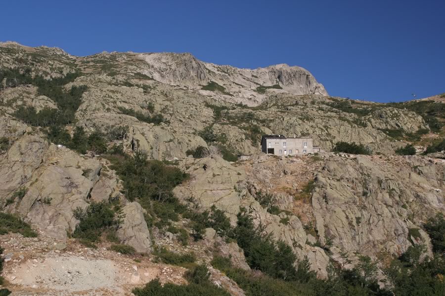 Koča