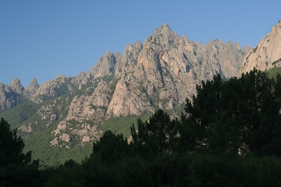 Proti Bavelli