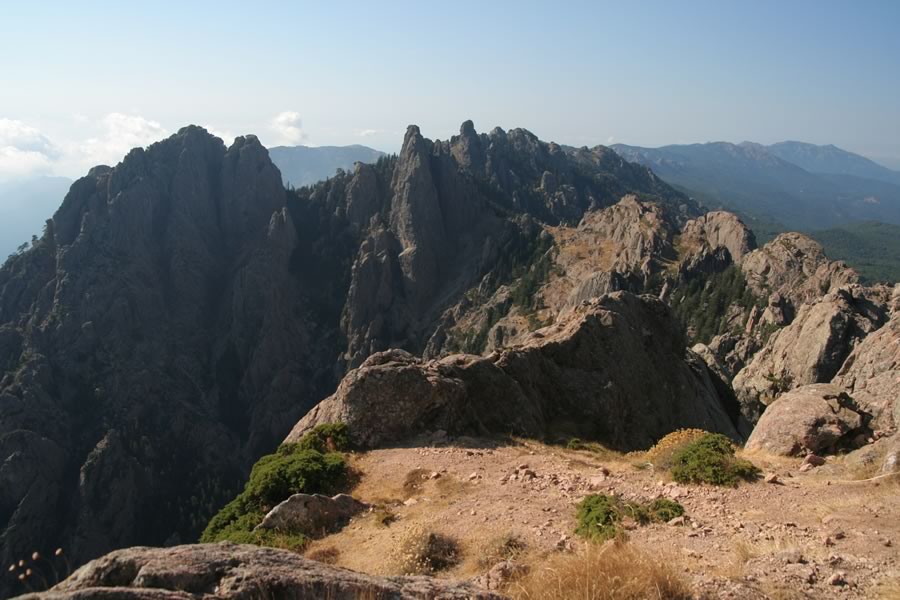 Proti jugu