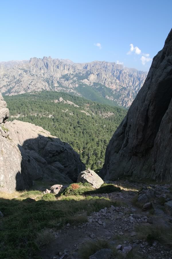 Grapa