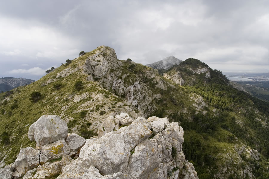 Puig des Romani, Talaia d'Alcudia
