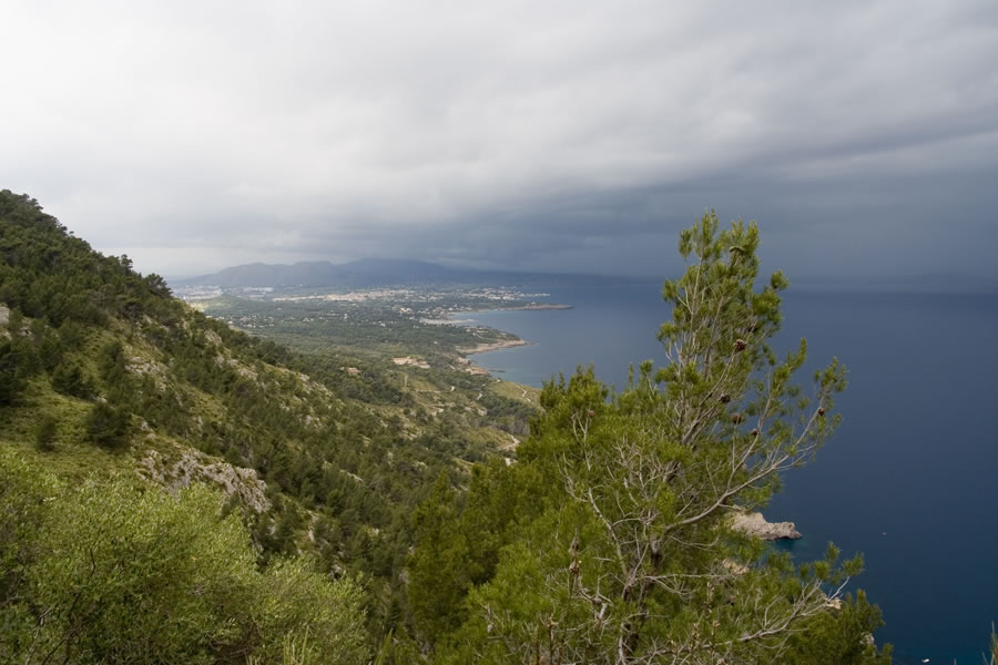 Alcudia