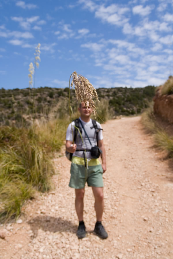 Orjaška trava