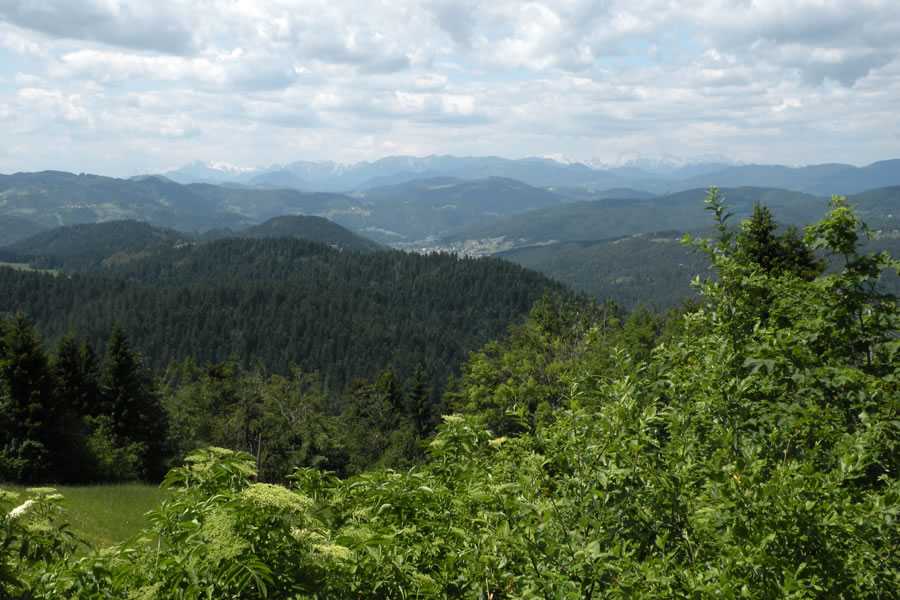 Julijske Alpe, Škofjeloško hribovje