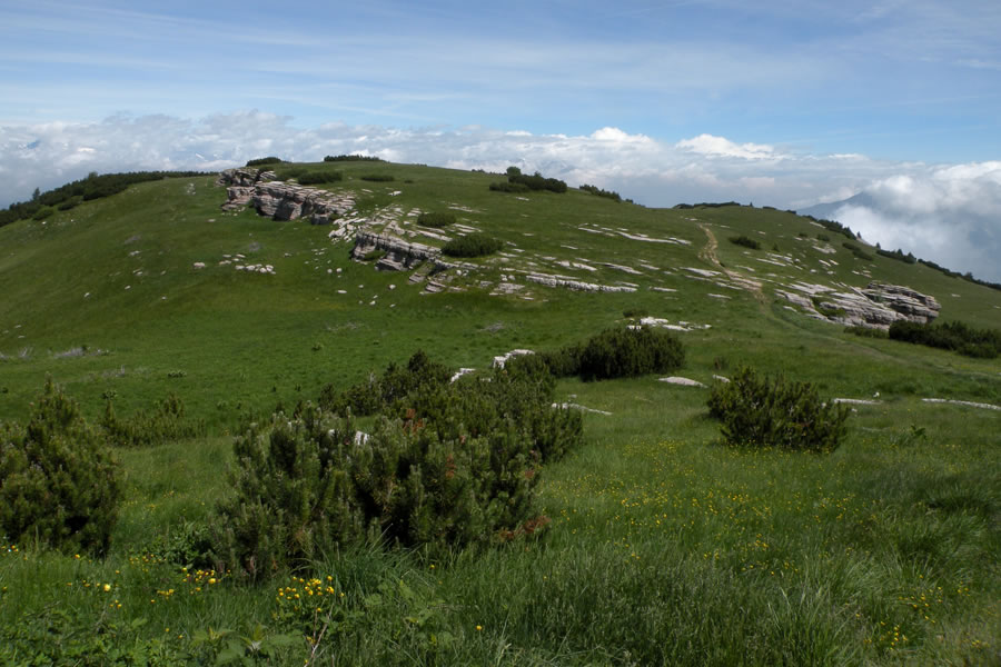 Monte di Nago