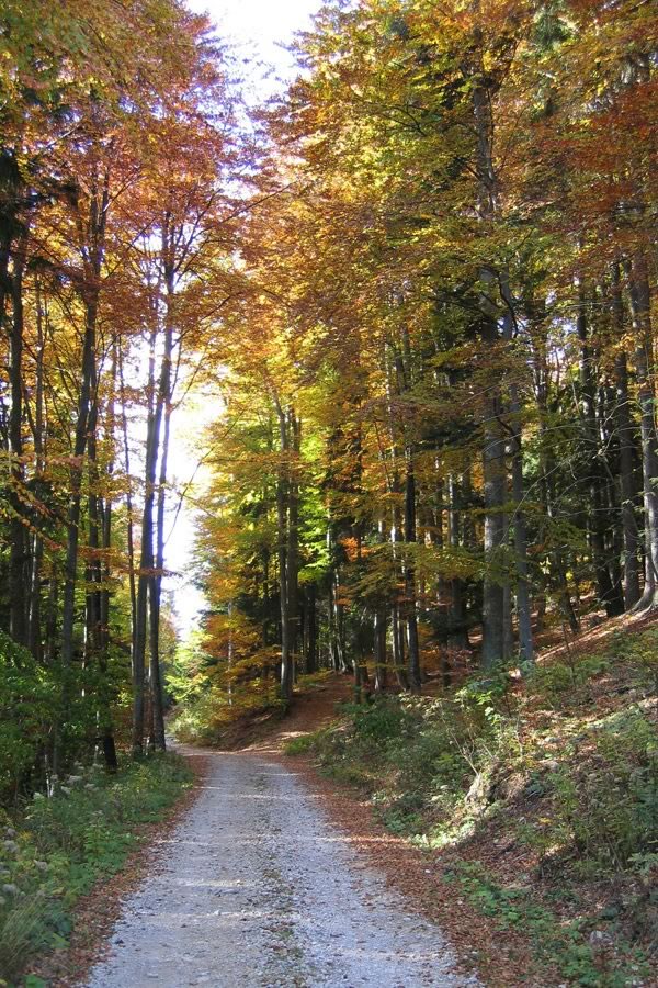 Proti vrhu