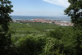 Izola