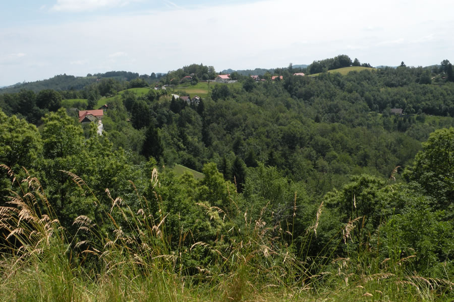 Med Žagarskim in Javorskim vrhom