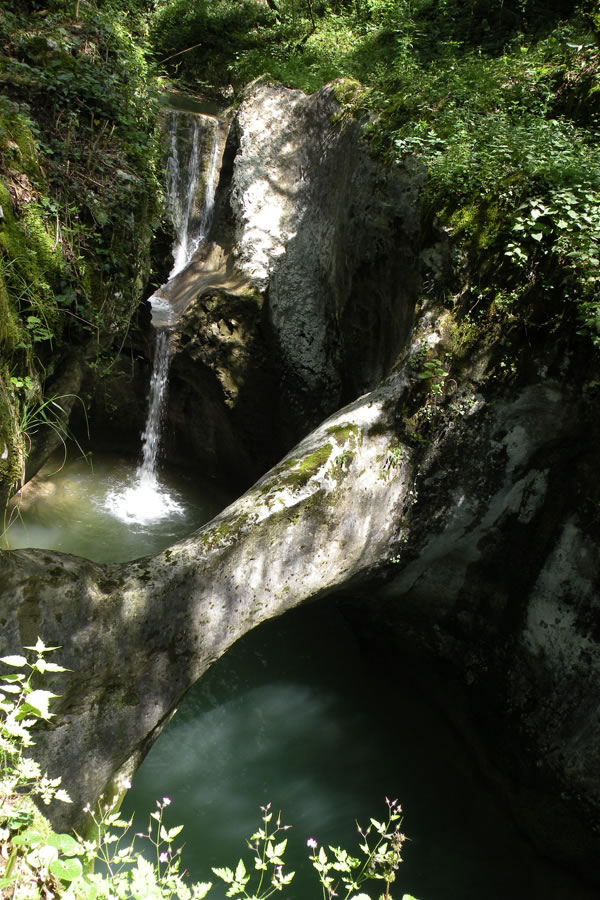 Potok Kožbanjšček skozi korita Krčnik