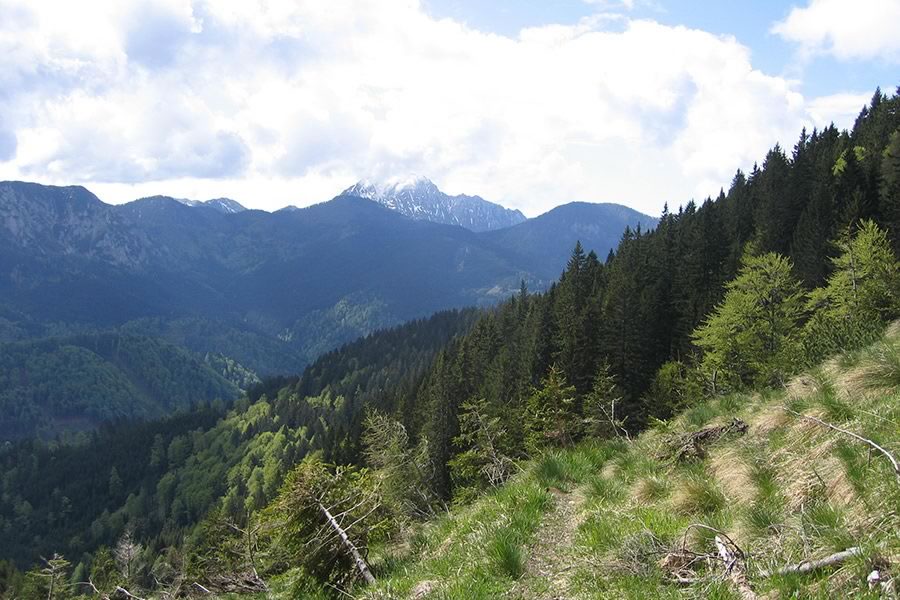Storžič