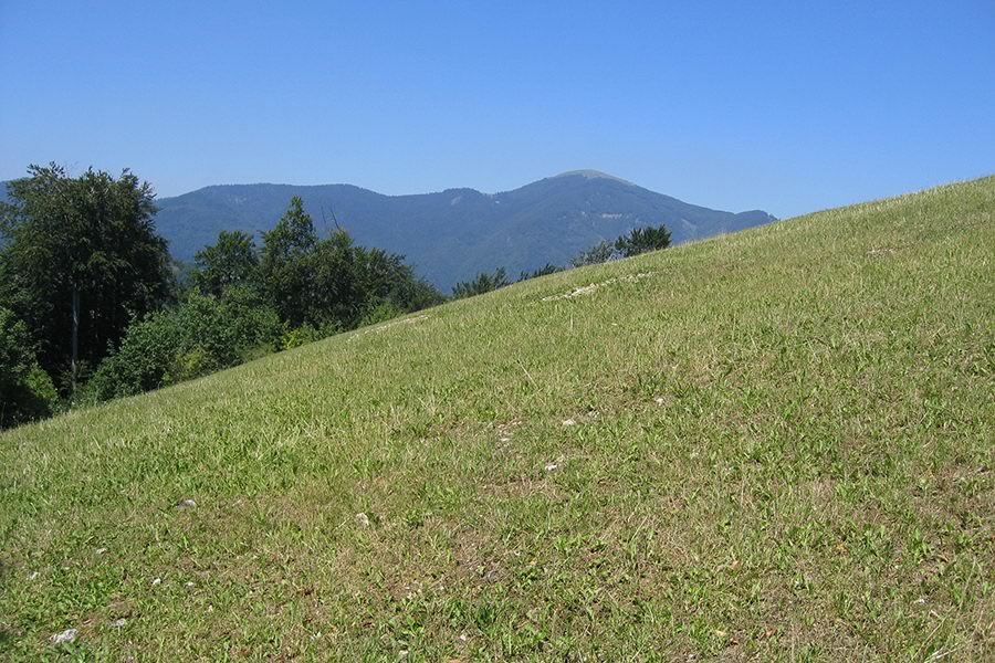 Blegoš