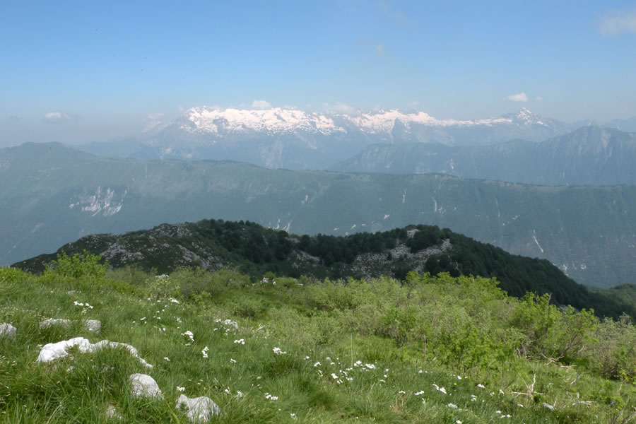 Kaninsko pogorje, Stol, Polovnik