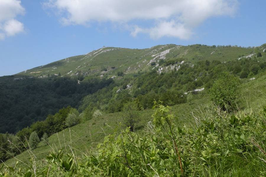 Matajur