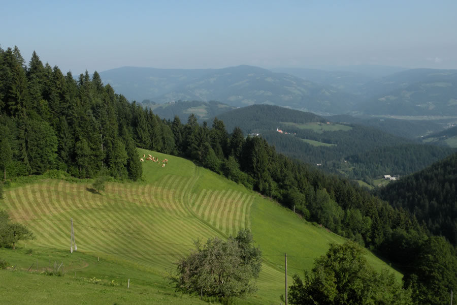 Proti Koči pod Kremžarjevim vrhom