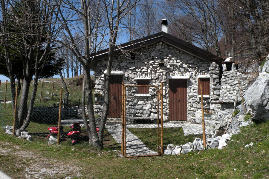 Ob cesti