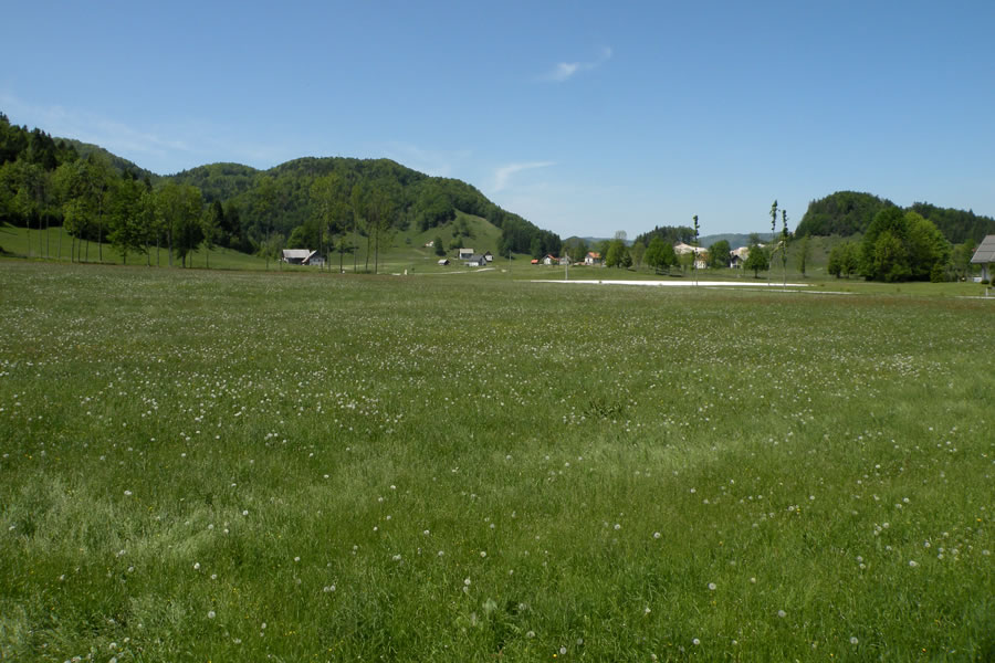 Črnovrška planota