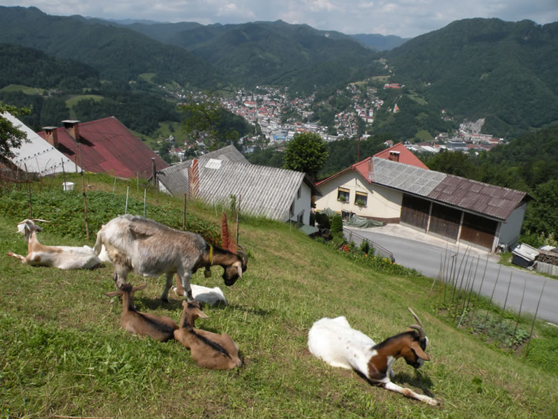 Vzhodno nad Idrijo