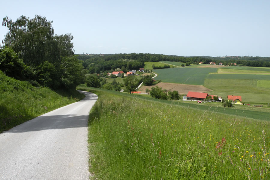 Slovenske gorice