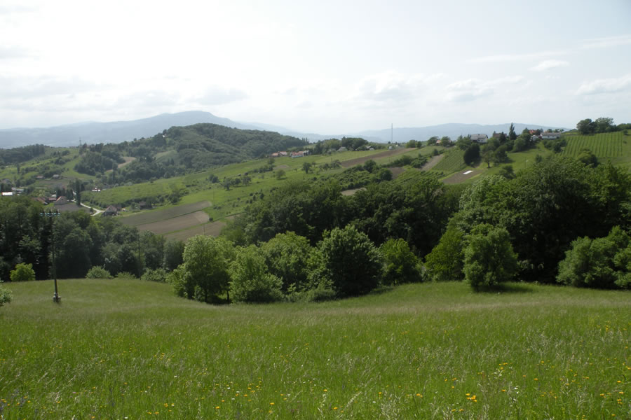 Slovenske gorice
