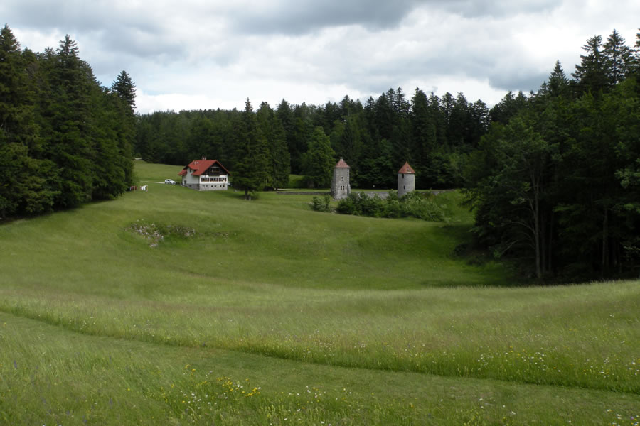 Mašun
