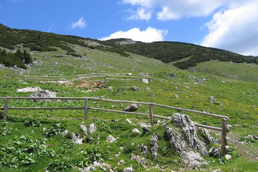 Proti Struški