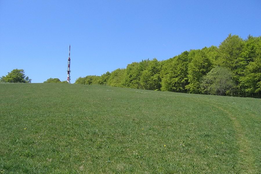 ...proti vrhu