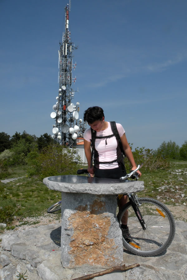 Vrh Trstelja