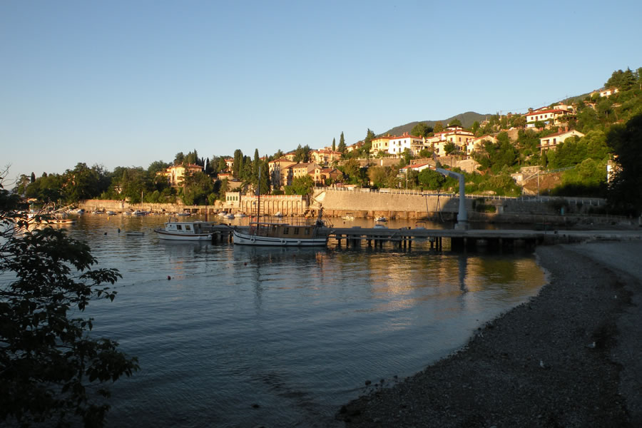 Ika
