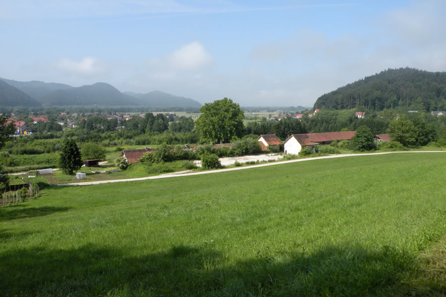 Dolsko