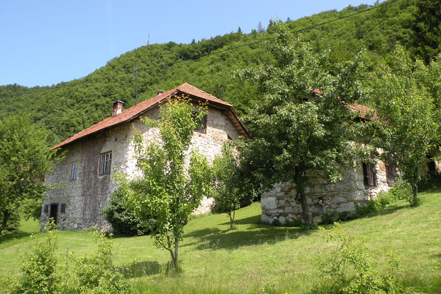 Domačija