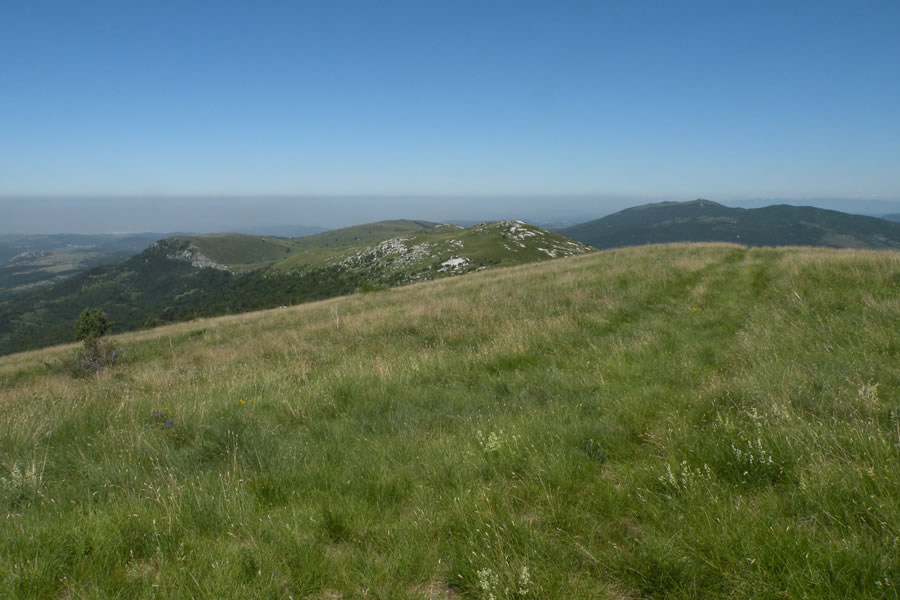 Travnat hrbet Žbevnice